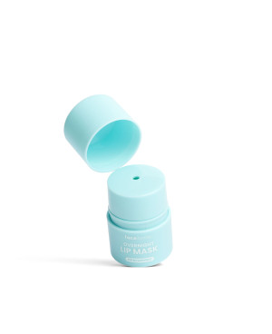 Face Facts Hyaluronic Overnight  Lip Mask